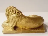 lion-7
