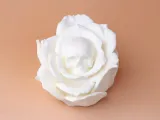 Skull Rose-3