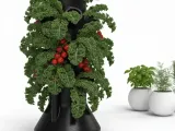 hydrophonic garden-0