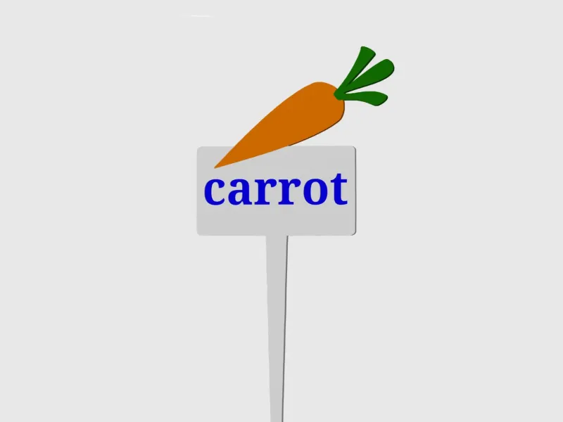 carrot plant tag