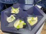 Hydroponic Plant Pot-2
