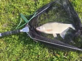 Two-Hook Feeder – Safer & More Effective Fishing-6