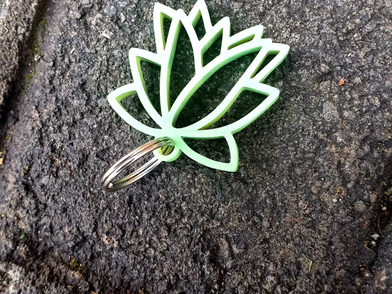 Protea Sleutelhanger