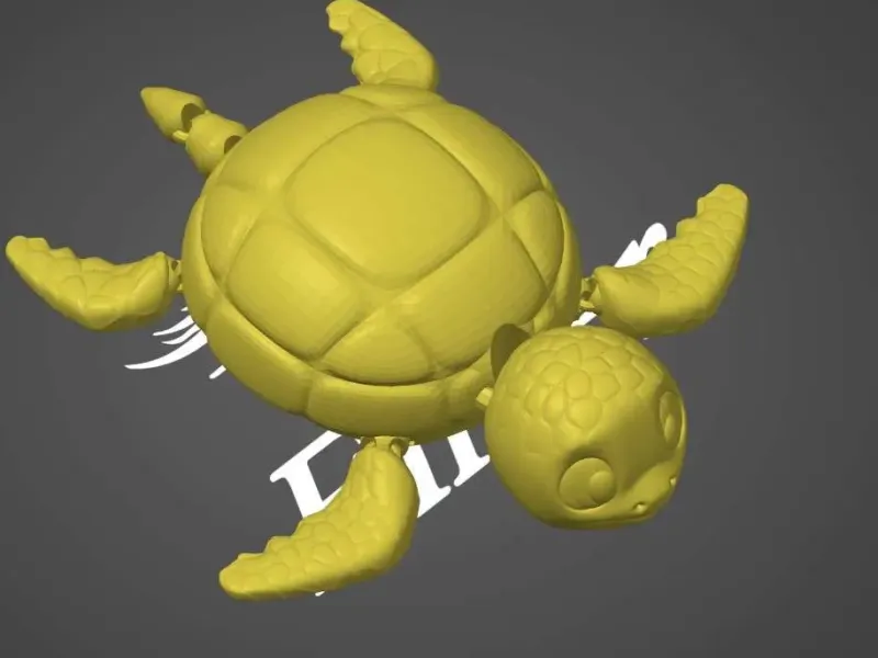 tartaruga