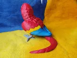 Scarlet Macaw-3
