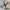 Vollständig gedruckter Quadcopter-/Drohnenrahmen für 9-Zoll-Propeller