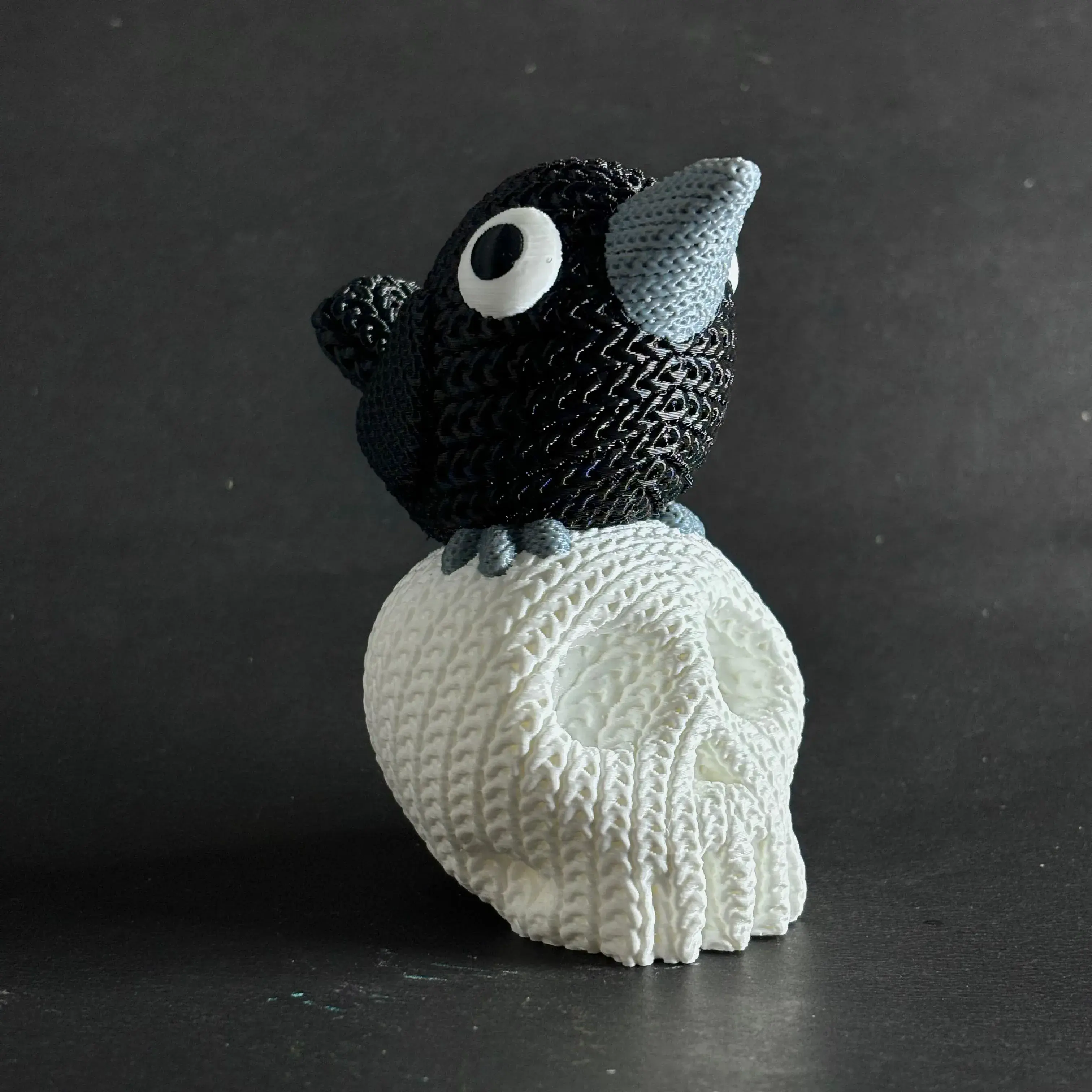 Knitted Raven On Skull