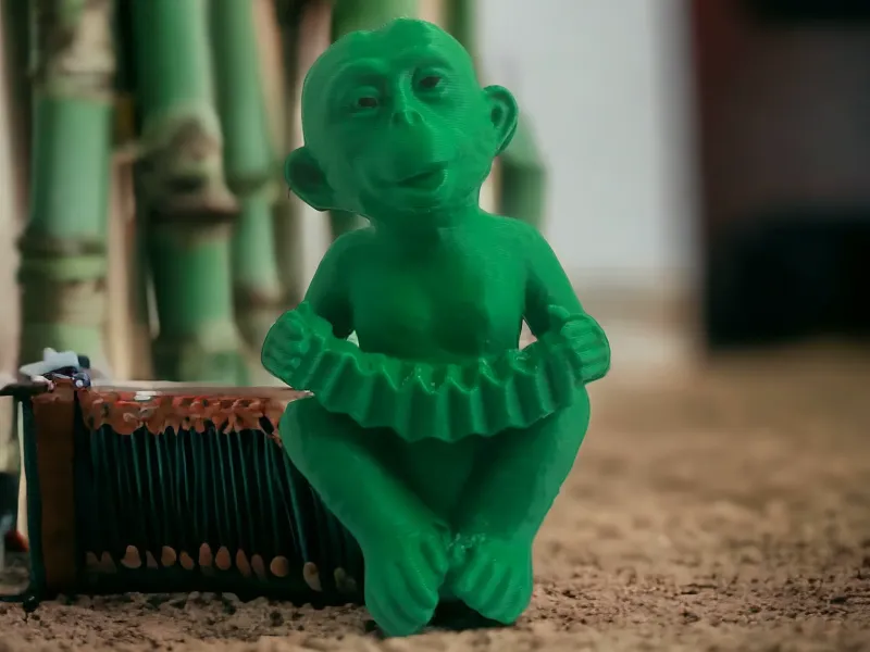 Monkey playing the accordion