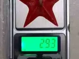 Vacuum Starfish hook-5