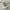 Mosquito, mozzie, coil wall mount with ash tray. no supports
