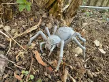 Spider monster, tarantula-2