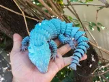 EKLEMLI ARMADILLO KERTENKELE (KÜÇÜK EJDERHA)-7