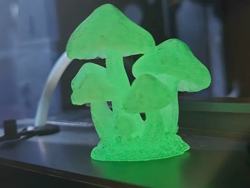 Grappolo di funghi