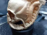 Giger Inspired Shelf -2