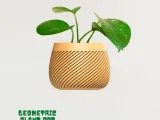 GEOMETRIC PLANT POT-2