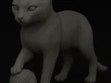 playing cat gato -0
