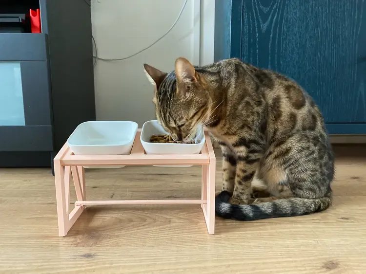 stand for elevated cat feeding station