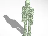 Skeleton-0