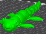 Axolotl Flexi-1