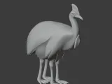 Cassowary-1