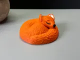 Sleeping Fox-6