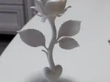 Bela rosa-2