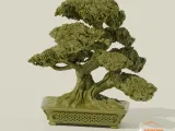 bonsai tree 10-0