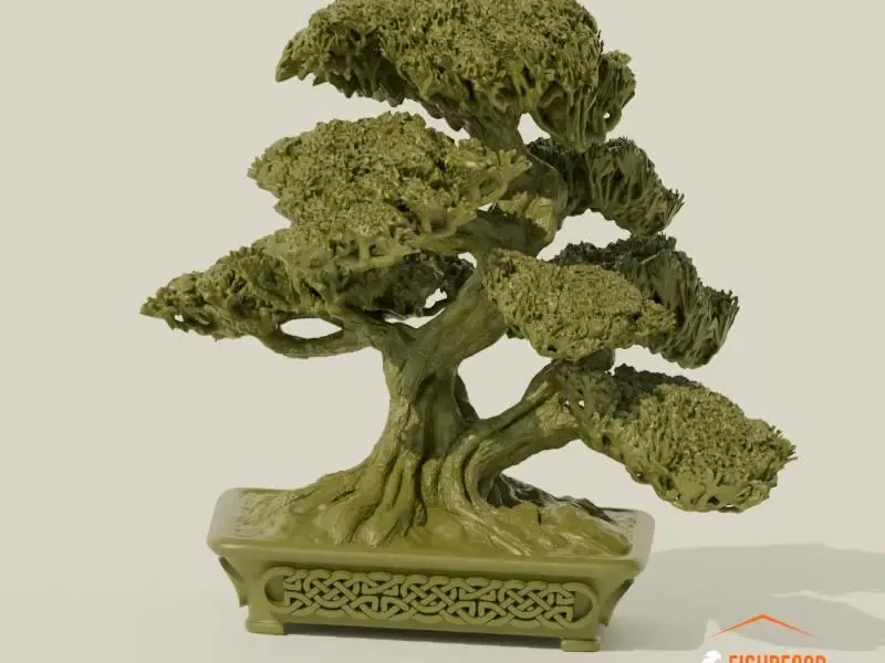 bonsai tree 10