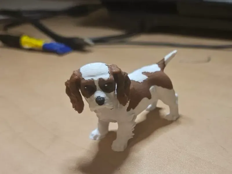 King Charles cavalier multicolor painted