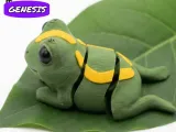 Cute Flexi Frog-3