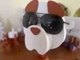 porte lunette chien-0