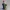 2964  Fairy Tale Gnome – Color Full-Body Figurine on Base