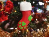 Paw Sock-5