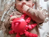 Octopus With Ring-0