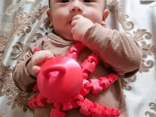 Octopus With Ring