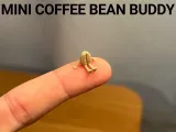 Mini Coffee Bean Buddy-0