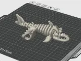 Articulated Skeleton Shark-2