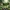 Peashooter Figure