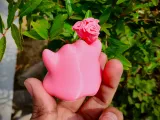 Valentine's Special - Ditto-3