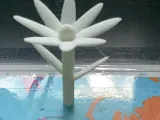 Flower-3