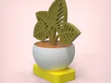 Decorative Plant-8