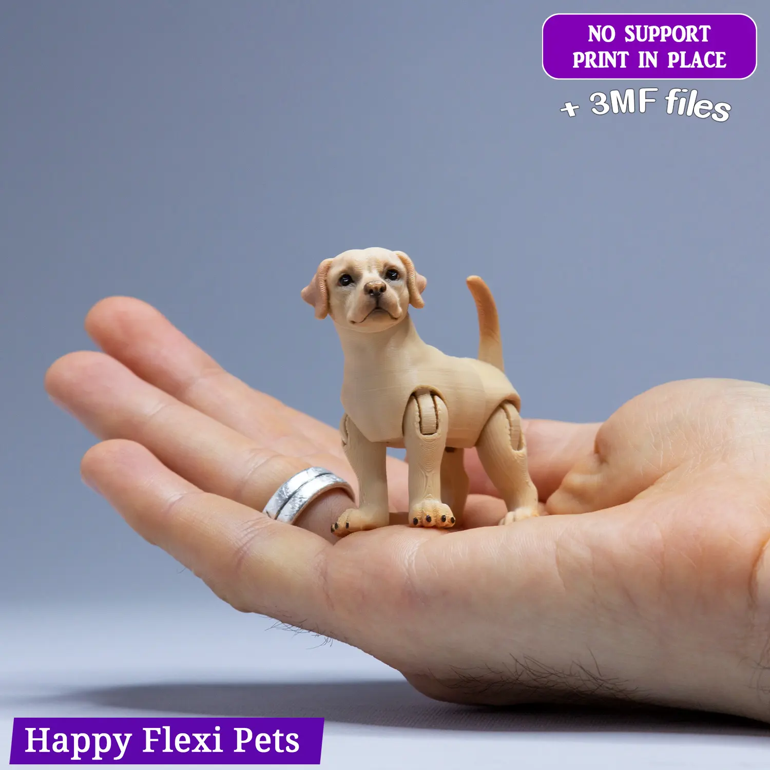 Labrador retriever dog articulated flexi toy (STL & 3MF)
