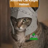 Armored Cat Knight Helmet
