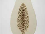 mamão papaya-0