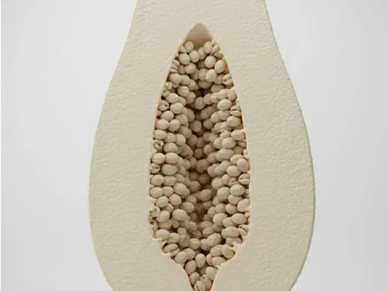 mamão papaya