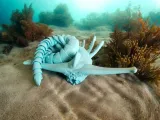 Ghost Leviathan Flexi (Subnautica)-6