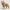 Wolf - Roots of Life – The Wooden Creatures