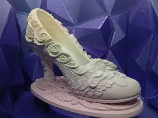 The First Waltz Slipper