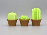 Cactus décor-1