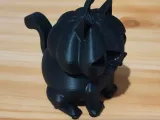 PumpCat - ChatCitrouille-2